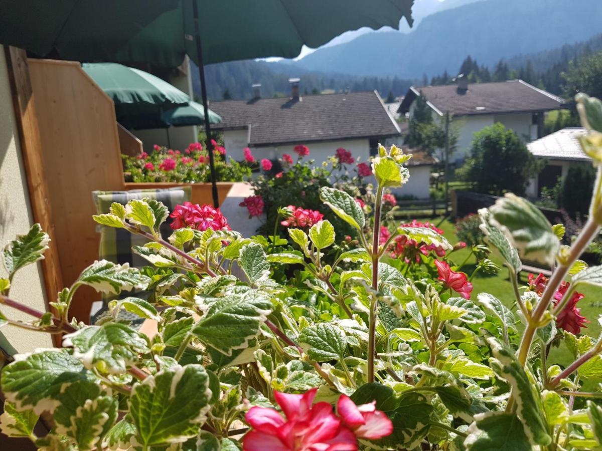 Gaestehaus Schoeneweiss Ервальд Екстер'єр фото